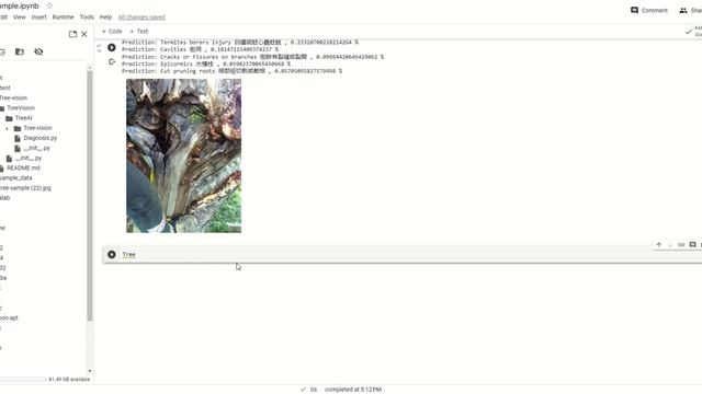 Tree Defects Diagnosis with AI - Forestree, Remote Sensing and Forestry смотреть онлайн