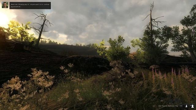 theHunter - Охотимся на Чернохвостого оленя смотреть онлайн
