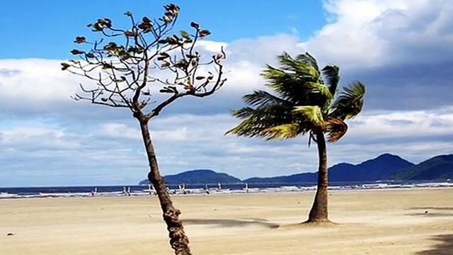 Fly Flamingo (Goombay Dance Band) смотреть онлайн