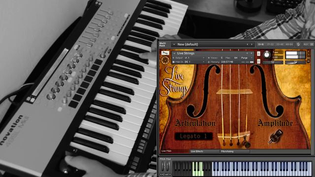 Hybrid Strings - Live Demo (Arabic Maqam's) смотреть онлайн