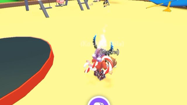 Капибара правит миром