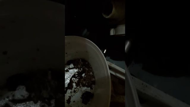 Чистка шланга в стиральной машинке самсунг смотреть онлайн