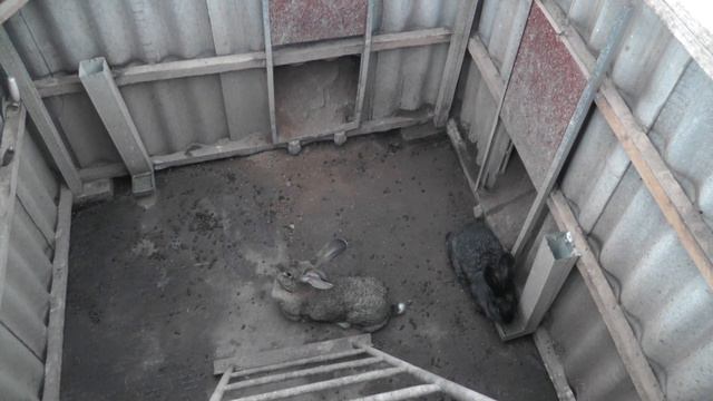 Кроличья яма. Полтора года эксплуатации. смотреть онлайн