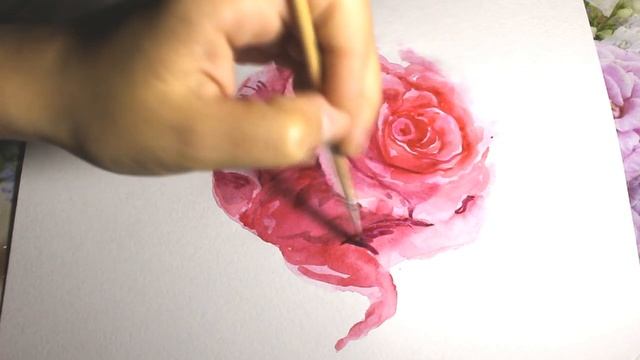 Как нарисовать розу акварелью поэтапно смотреть онлайн