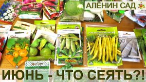 ИЮНЬ Что ещё можно посеять в июне?