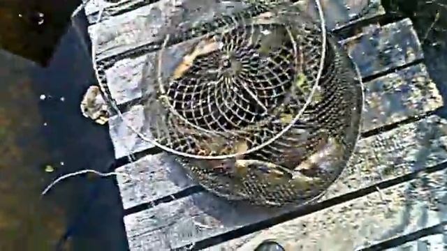 Линь.Мережа.Рыбалка. смотреть онлайн