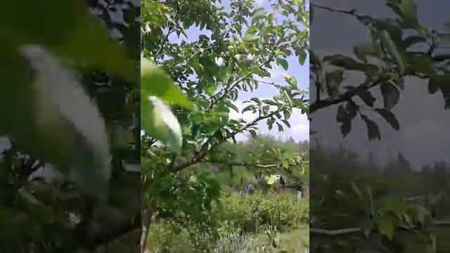 Дача дзержинск юрьевец юбилейный смотреть онлайн