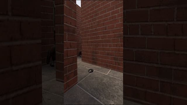 Maze trouble pt 3 #gmod смотреть онлайн
