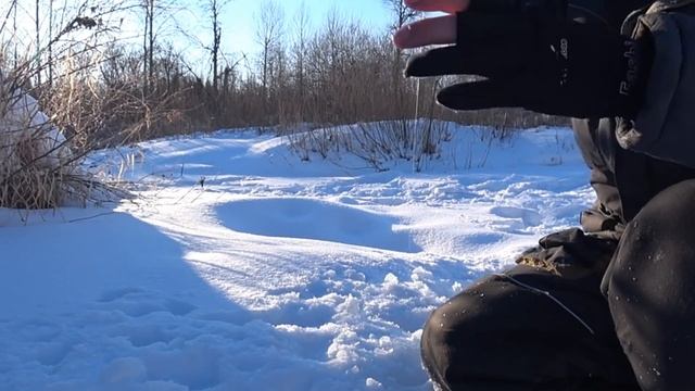 ТОННА РЫБЫ в КУСТАХ | Cтынет КРОВЬ от МОРОЗА | МОРМЫШКИ РВУТСЯ ОДНА за ДРУГОЙ! смотреть онлайн