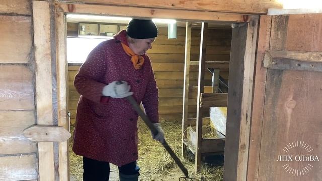 В деревне для всех найдётся работа