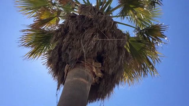 Нужно куда то себя деть. Пляж. Чупа чупс смотреть онлайн