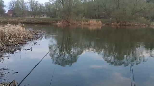 Ловля красноперки. смотреть онлайн