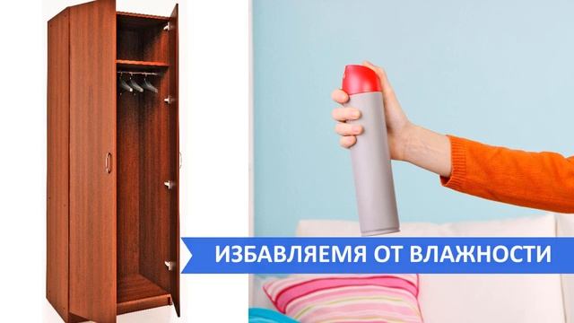 Положите ЭТО в ШКАФ - ВОНИЗМ пройдет Очень Быстро смотреть онлайн