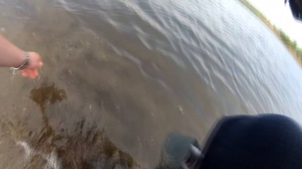 Силикон с АлиЭкспресс от FTK | Копии KEITECH Easy Shiner, Swing Impact Fat, SAWAMURA One'up Shad