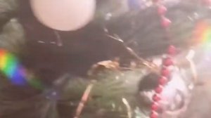 Когда нужно убирать елку? Приметы и традиции