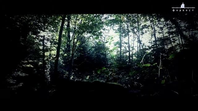 Тульские засеки