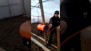 Газовое отопление теплицы.