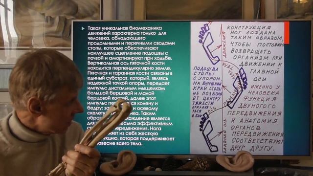 Почему в далеком прошлом Земли была инволюция, а не эволюция. Александр Белов 02.03.2024 г. смотреть онлайн