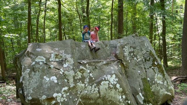 Laurel Hill, Laurel Ridge, Laurel Summit, Linn Run, Ohiopyle, Laurel Mountain & Koser State Parks