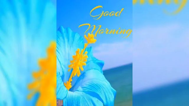 Good morning : Wishes Messages Status Sms Wallpaper pics Whatsapp Quotes Images video Greetings смотреть онлайн