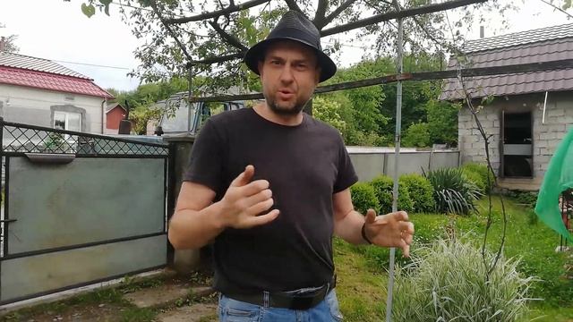 Как белые грибы, шампиньоны и трюфель растут на огороде смотреть онлайн