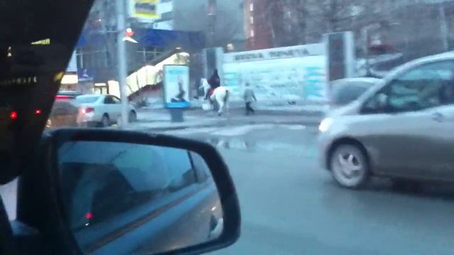 принц на белом коне смотреть онлайн