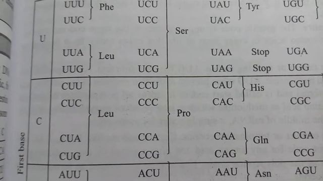 Genetic Code смотреть онлайн