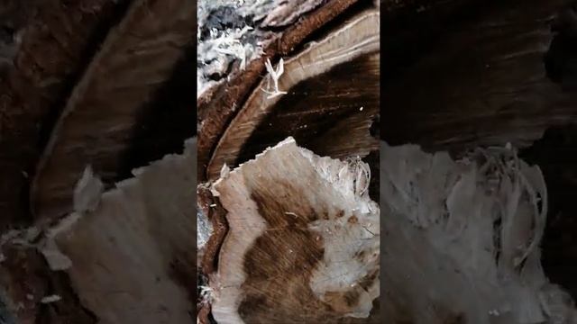 Распускаем бревно на доски смотреть онлайн