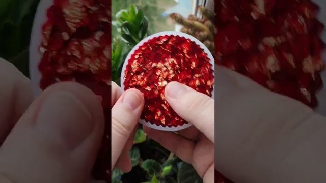 Сделал красно-жёлтую шкатулку с золотой поталью из эпоксидной смолы. Шкатулка красно-жёлтых дней. смотреть онлайн