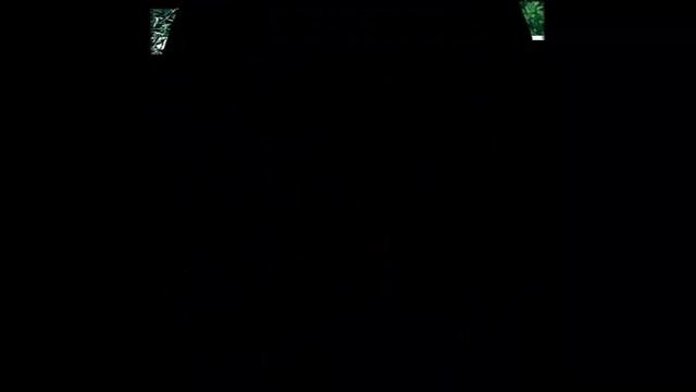 Домашняя Лиана Фото смотреть онлайн