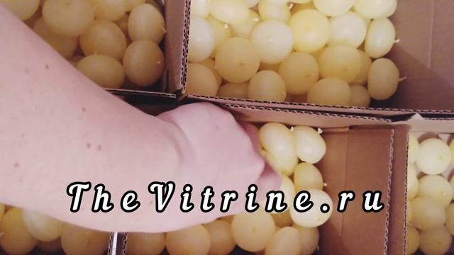 Плавающие свечи смотреть онлайн