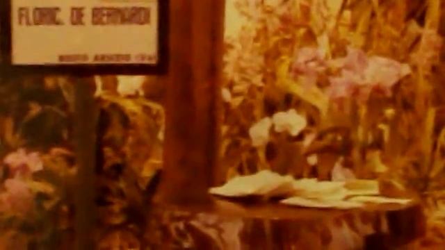 m ostra orchidee busto arsizio смотреть онлайн