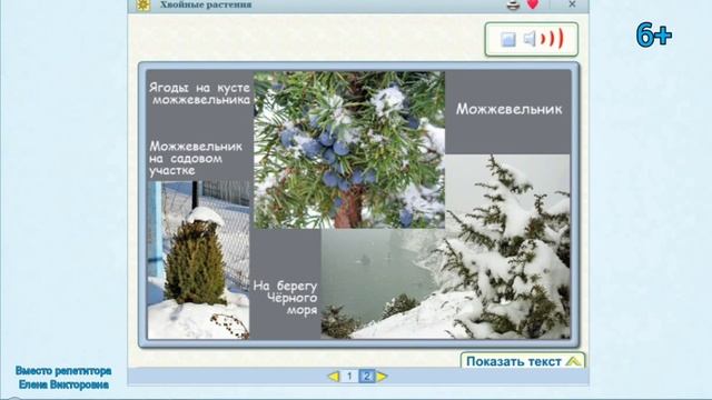 Зима в мире растений смотреть онлайн