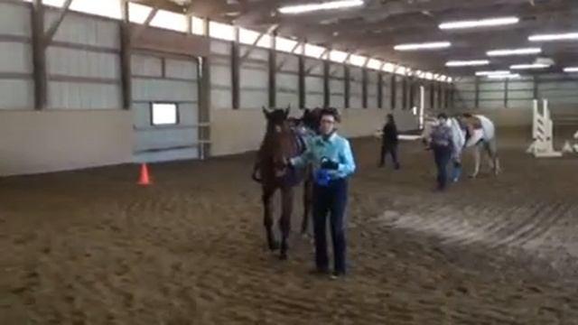 Judy on Danny blue ribbons смотреть онлайн