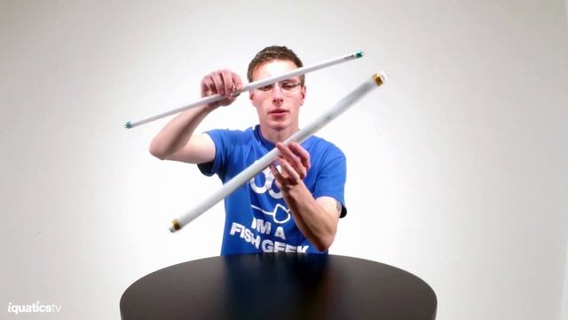 The Differences Between T5 and T8 Fluorescent Light Bulbs/Tubes смотреть онлайн