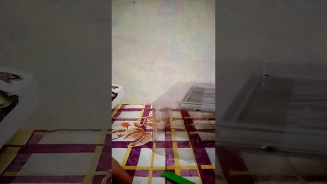 17 октября 2021 г.