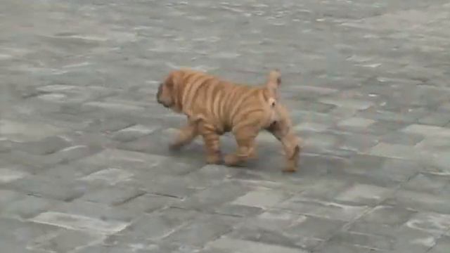 оранжевая 2 смотреть онлайн