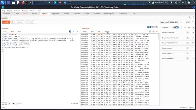 Burp Suite - Repeater