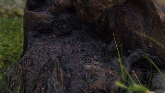 Meadow Scene in Blender | Blender 2.83 | смотреть онлайн