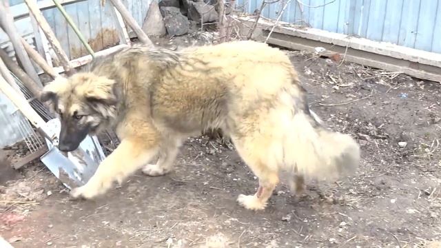 Тильда и ее друзья смотреть онлайн