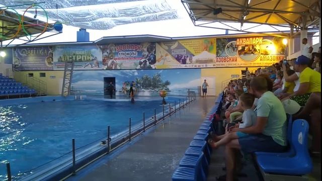 Дельфинарий в станице Голубицкой смотреть онлайн