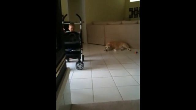 Bumbleride Flite Movement Edition