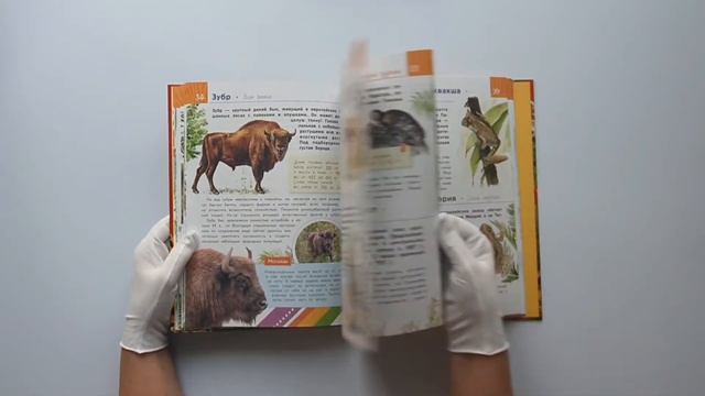 Красная книга. Животные смотреть онлайн