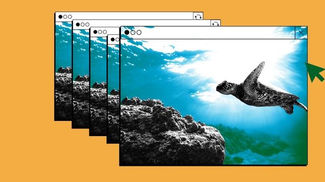 Что такое нулевой уровень выбросов? смотреть онлайн