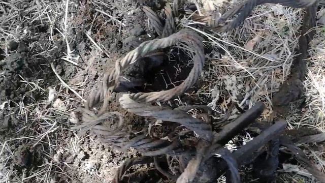 По весу мало, по деньгам нормально смотреть онлайн