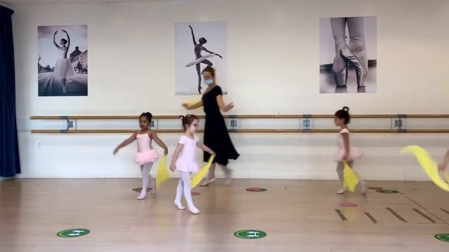 Ballerina Level . Ballet . Royal Academy Of Dance . Russian Ballet . Kids . Private Ballet Lessons