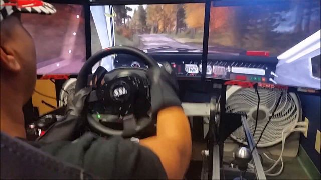 DiRT Rally Peugeot 205 T16 Group B - Triple Screen GoPro! смотреть онлайн