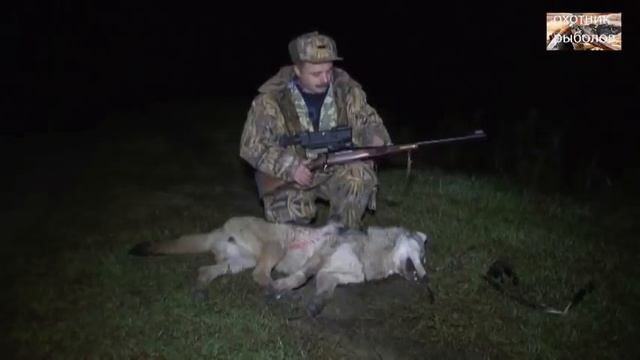 Охота на волка. Нападение волков на село смотреть онлайн