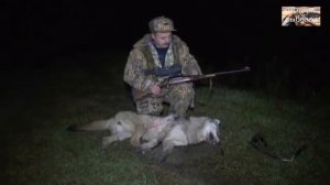 Охота на волка. Нападение волков на село