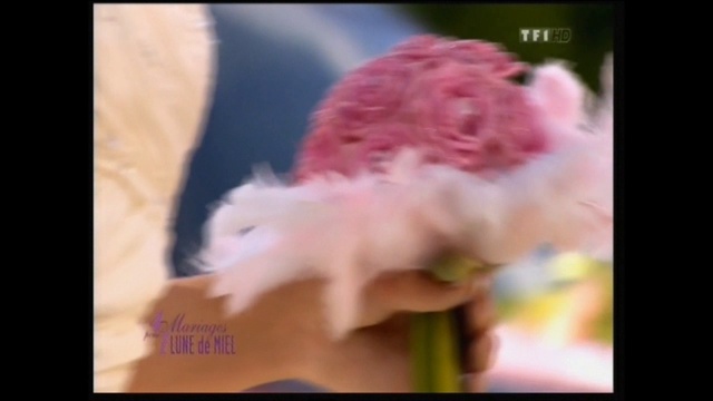 4 Mariage Pour Une Lune De Miel Tf1